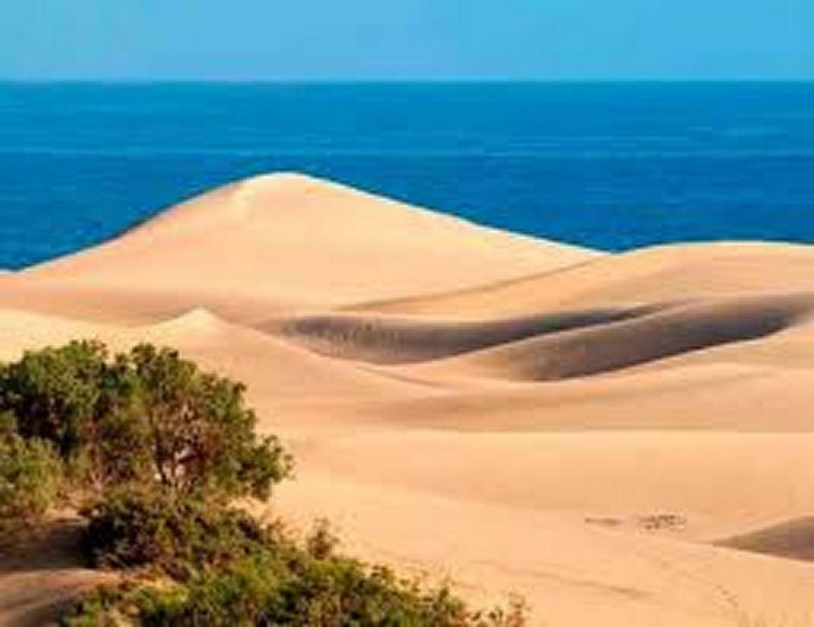 Bungalow Duna Flor Maspalomas มาสปาโลมาส ภายนอก รูปภาพ